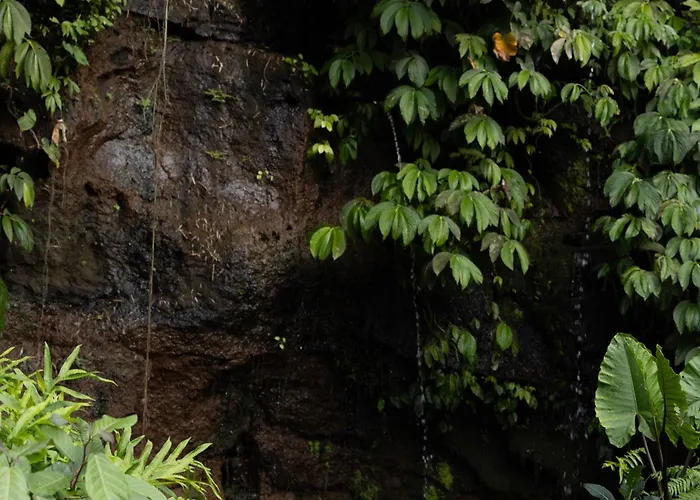 Bambu Indah 5* 乌布
