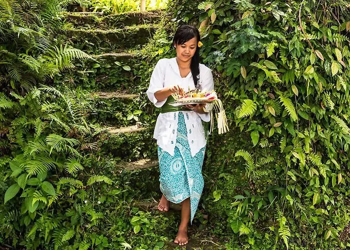 Bambu Indah 乌布